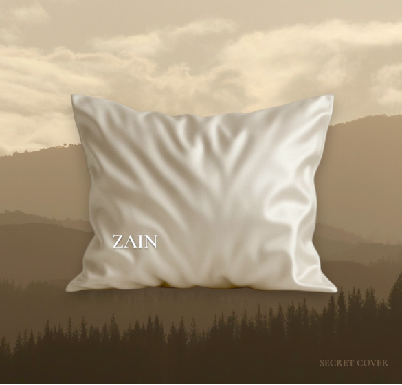 Secret Cover Royal Silk Bedding Set